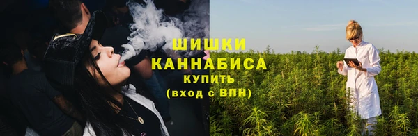 винт Богданович